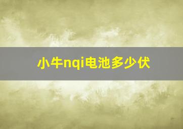 小牛nqi电池多少伏