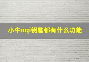 小牛nqi钥匙都有什么功能