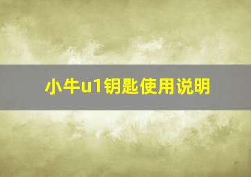 小牛u1钥匙使用说明