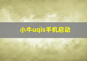 小牛uqis手机启动