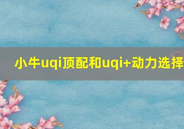 小牛uqi顶配和uqi+动力选择