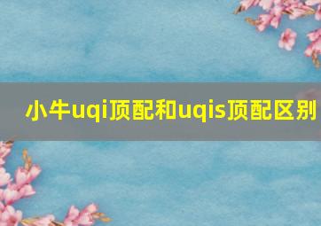 小牛uqi顶配和uqis顶配区别