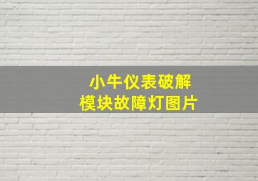 小牛仪表破解模块故障灯图片