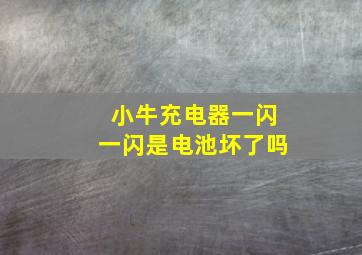 小牛充电器一闪一闪是电池坏了吗