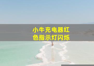 小牛充电器红色指示灯闪烁