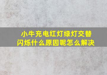 小牛充电红灯绿灯交替闪烁什么原因呢怎么解决