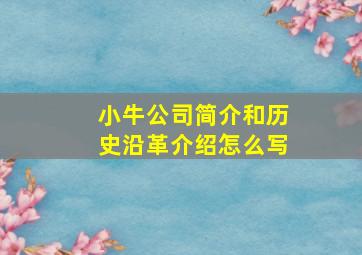 小牛公司简介和历史沿革介绍怎么写