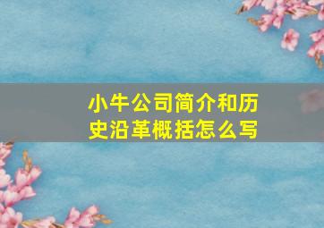 小牛公司简介和历史沿革概括怎么写