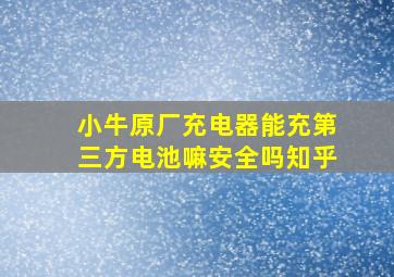 小牛原厂充电器能充第三方电池嘛安全吗知乎