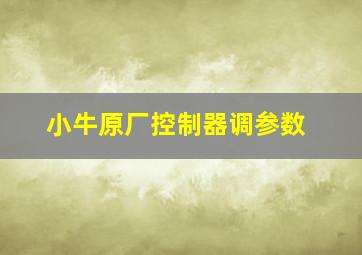 小牛原厂控制器调参数