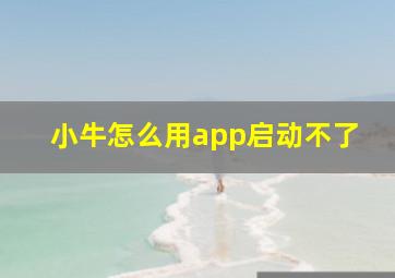 小牛怎么用app启动不了