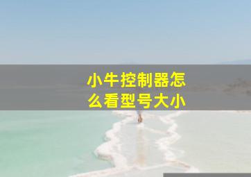 小牛控制器怎么看型号大小