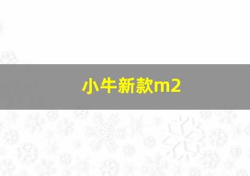 小牛新款m2