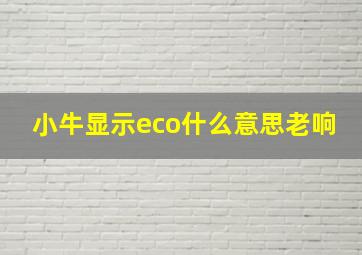 小牛显示eco什么意思老响