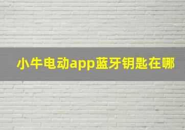 小牛电动app蓝牙钥匙在哪