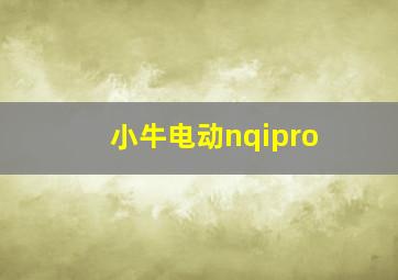 小牛电动nqipro