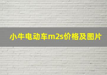 小牛电动车m2s价格及图片