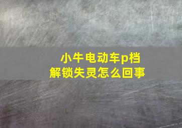 小牛电动车p档解锁失灵怎么回事