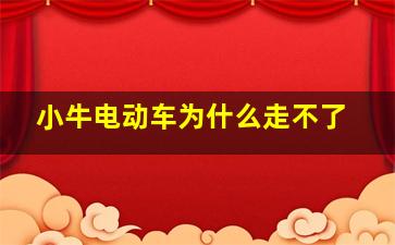 小牛电动车为什么走不了