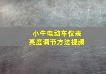 小牛电动车仪表亮度调节方法视频