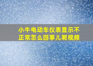 小牛电动车仪表显示不正常怎么回事儿呢视频