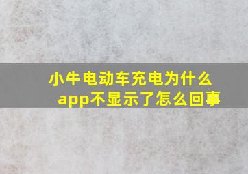 小牛电动车充电为什么app不显示了怎么回事