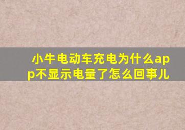 小牛电动车充电为什么app不显示电量了怎么回事儿