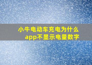 小牛电动车充电为什么app不显示电量数字