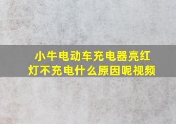 小牛电动车充电器亮红灯不充电什么原因呢视频