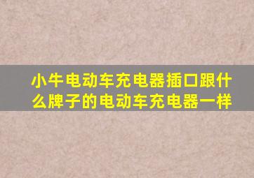 小牛电动车充电器插口跟什么牌子的电动车充电器一样