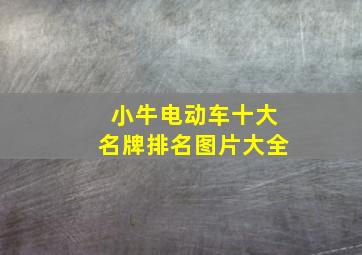 小牛电动车十大名牌排名图片大全