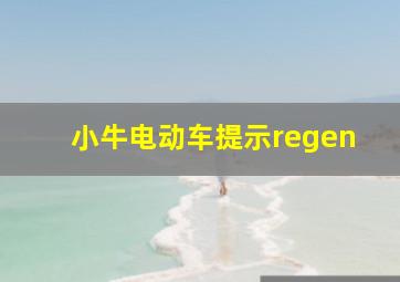 小牛电动车提示regen