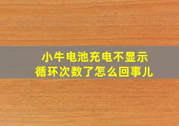 小牛电池充电不显示循环次数了怎么回事儿