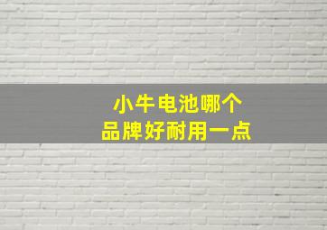 小牛电池哪个品牌好耐用一点