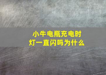 小牛电瓶充电时灯一直闪吗为什么