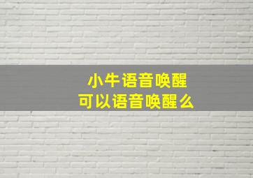 小牛语音唤醒可以语音唤醒么