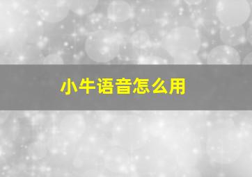 小牛语音怎么用