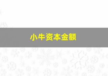 小牛资本金额