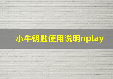 小牛钥匙使用说明nplay