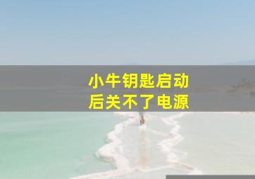 小牛钥匙启动后关不了电源