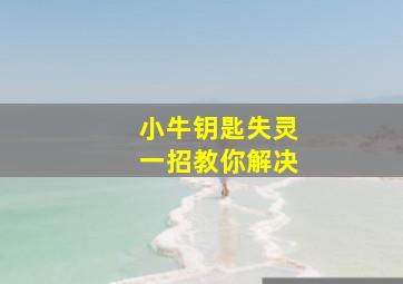 小牛钥匙失灵一招教你解决