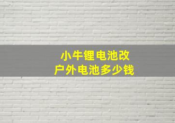 小牛锂电池改户外电池多少钱