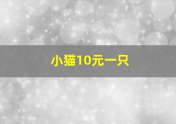 小猫10元一只