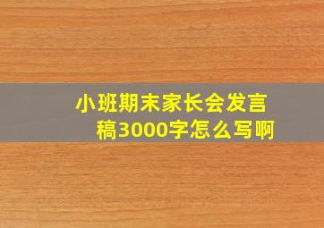 小班期末家长会发言稿3000字怎么写啊