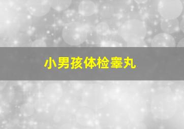 小男孩体检睾丸