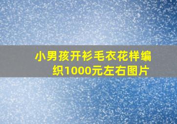 小男孩开衫毛衣花样编织1000元左右图片