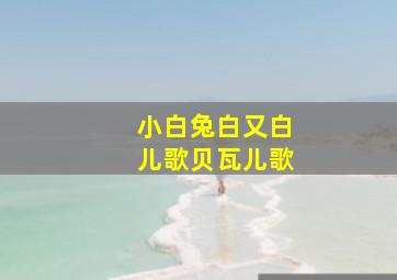 小白兔白又白儿歌贝瓦儿歌