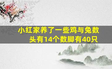 小红家养了一些鸡与兔数头有14个数脚有40只