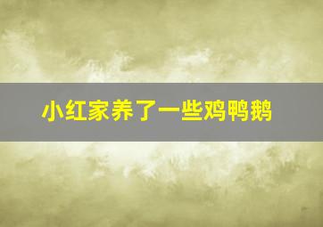 小红家养了一些鸡鸭鹅