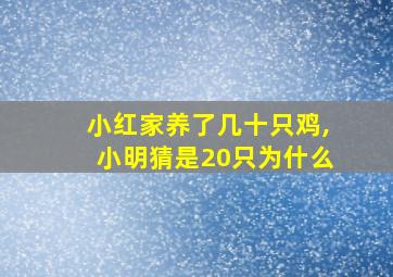 小红家养了几十只鸡,小明猜是20只为什么